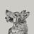 profile picture of Smiling Wolf