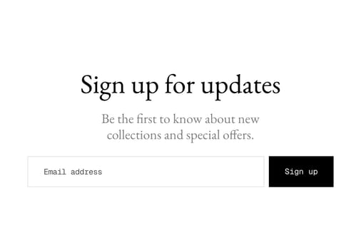 Newsletter section preview