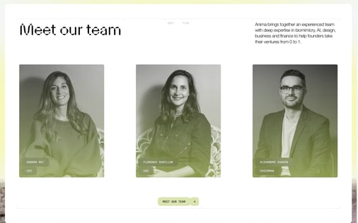 Team section preview