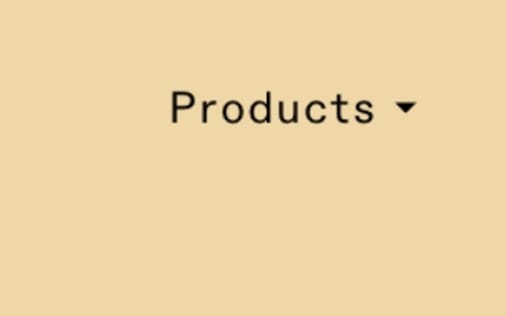 Header section preview