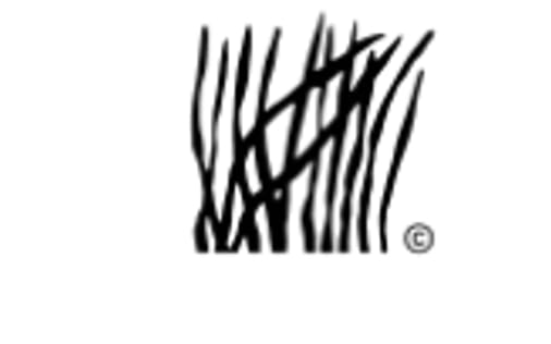 Header section preview