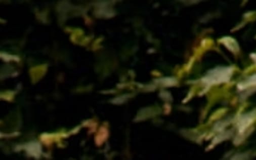 Header section preview