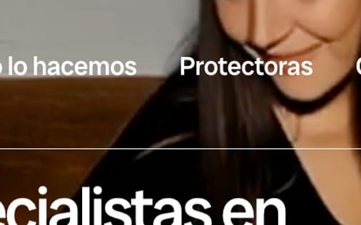 Header section preview