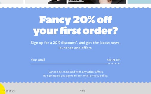Newsletter section preview