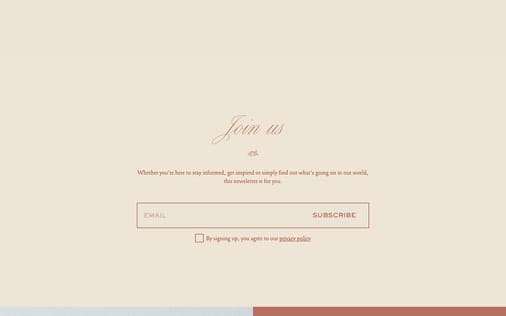 Newsletter section preview