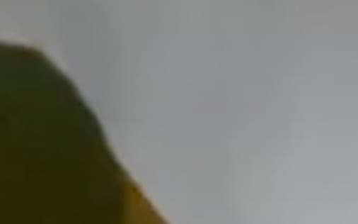 Header section preview