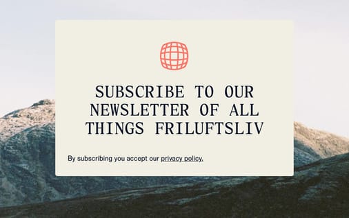 Newsletter section preview