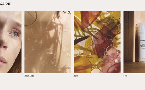 Gallery section preview