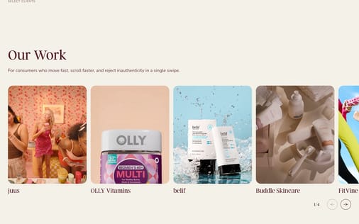 Gallery section preview