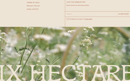 Footer section preview
