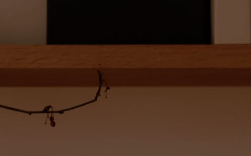 Header section preview