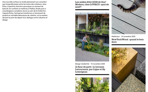 Blog section preview