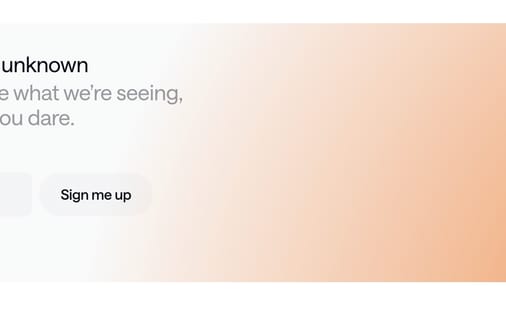 Newsletter section preview