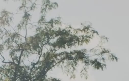Header section preview