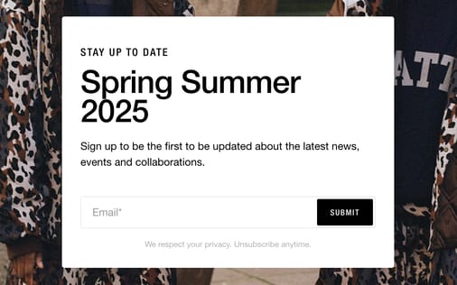 Newsletter section preview