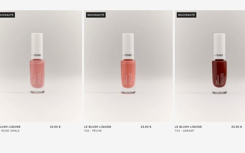 Gallery section preview