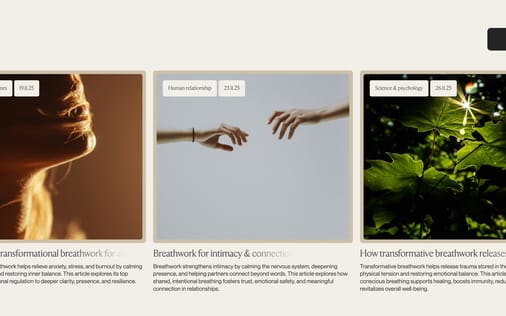 Blog section preview