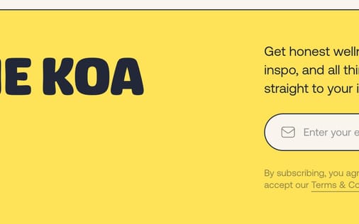 Newsletter section preview