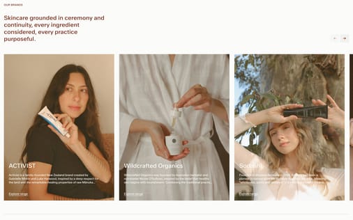 Brand section preview