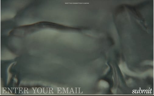 Newsletter section preview