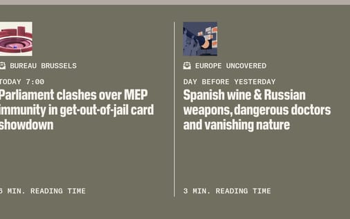 Newsletter section preview