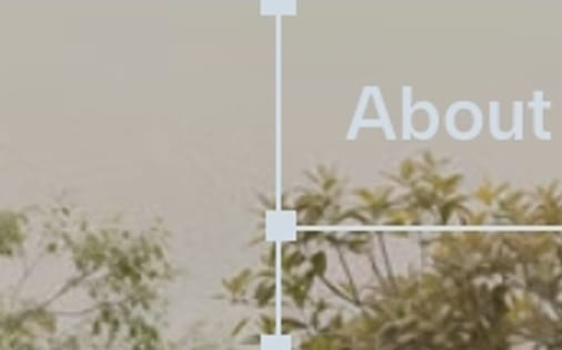 Header section preview
