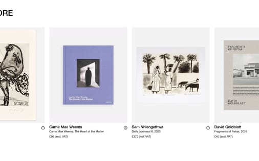 Gallery section preview