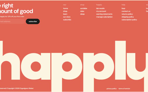Footer section preview