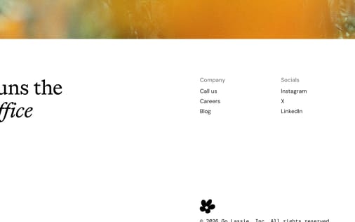 Footer section preview