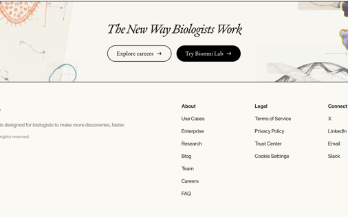 Footer section preview