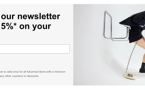 Newsletter section preview