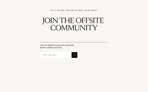 Newsletter section preview