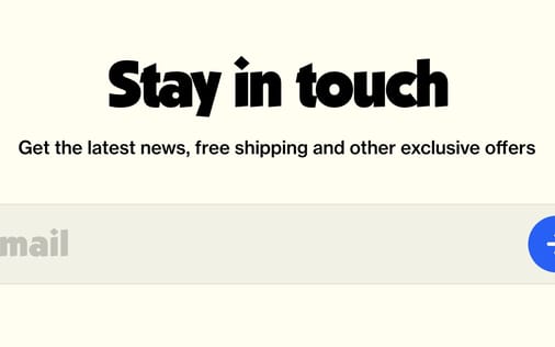 Newsletter section preview