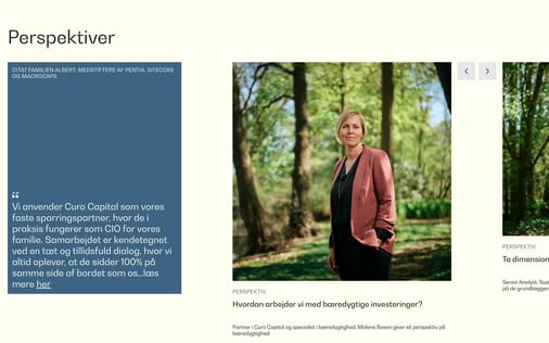Blog section preview