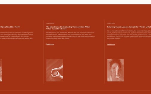 Blog section preview