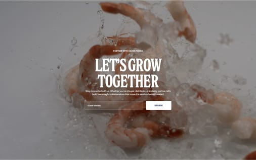 Call to Action section preview