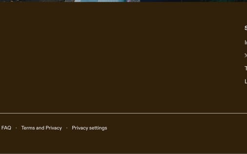 Footer section preview