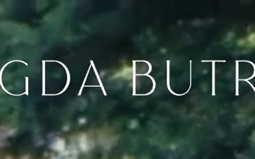 Header section preview