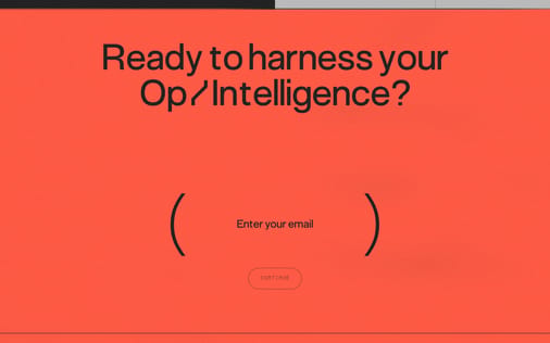 Newsletter section preview