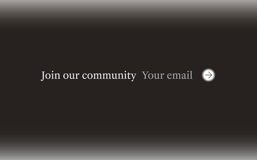 Newsletter section preview