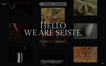 Seiste website preview