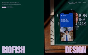 Bigfish website preview