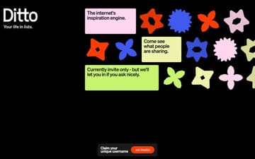 Ditto website preview