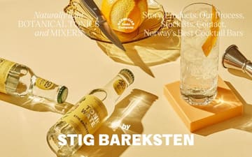 Norwegian Soda Co. website preview