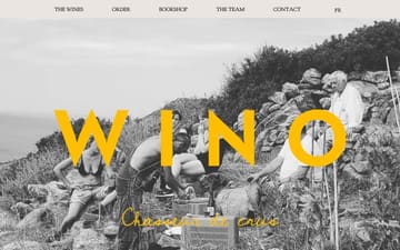 Wino Import website preview