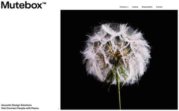 Mutebox website preview