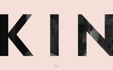 KIN Partners website preview
