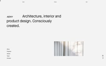 AENY website preview
