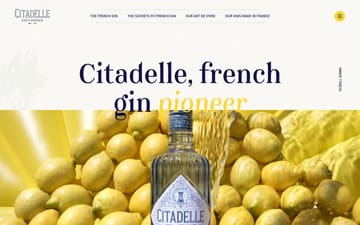 Citadelle gin website preview