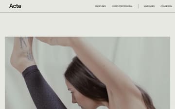 Acte training website preview